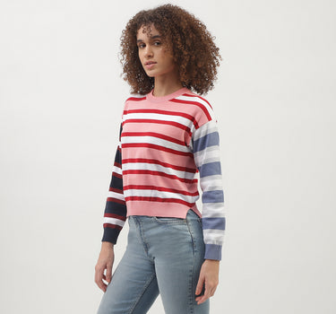 Regular Fit Round Neck Striped Pattern Sweater