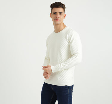 Mens Long Sleeve Textured Sweater