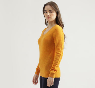 Women's Regular Fit V-Neck Solid Sweater