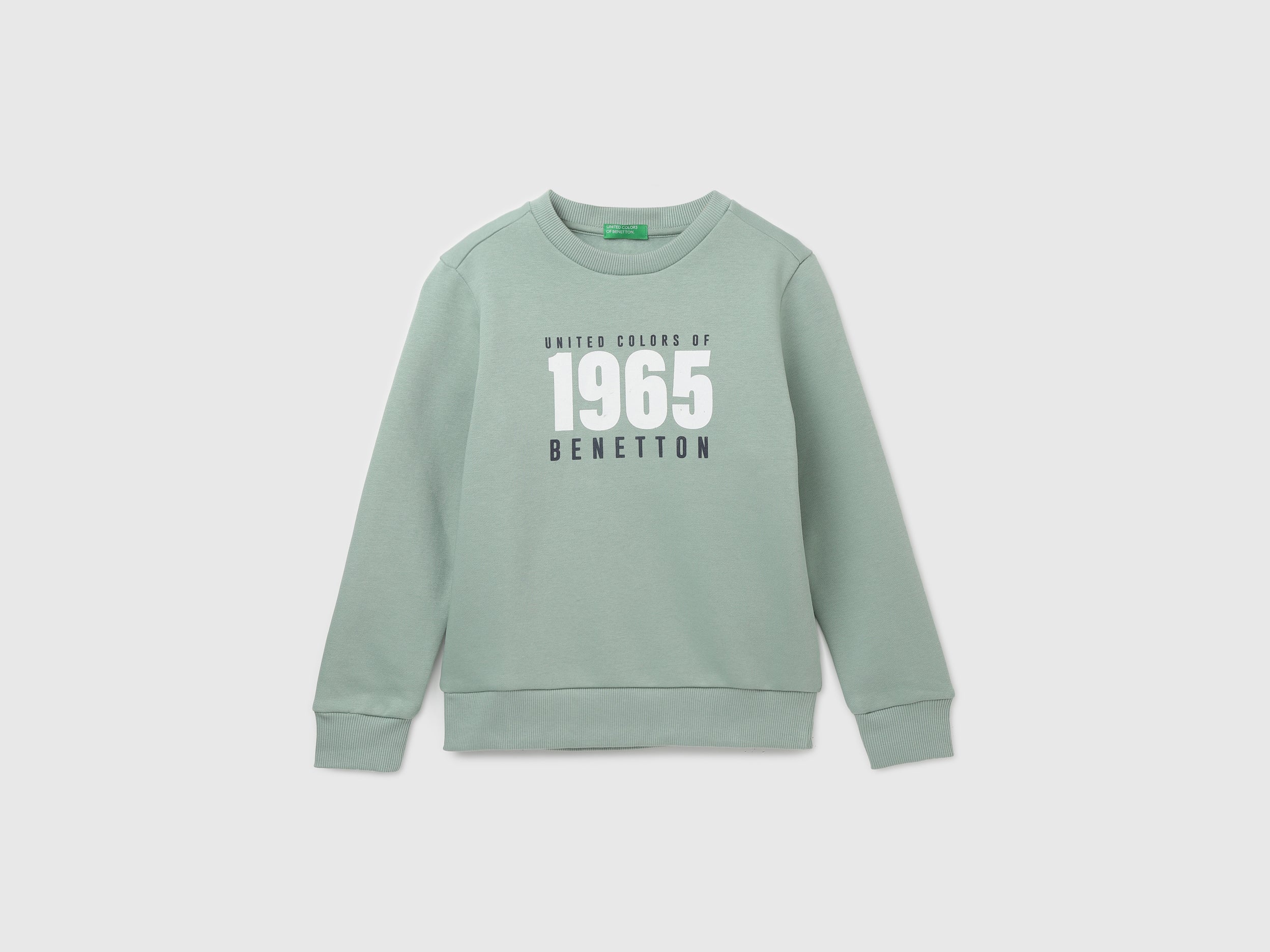 Boy's Regular Fit Crew Neck Printed Sweatshirt