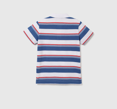 Regular Fit Polo Neck Striped T-shirt