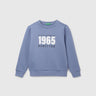 Boy's Regular Fit Crew Neck Printed Sweatshirt