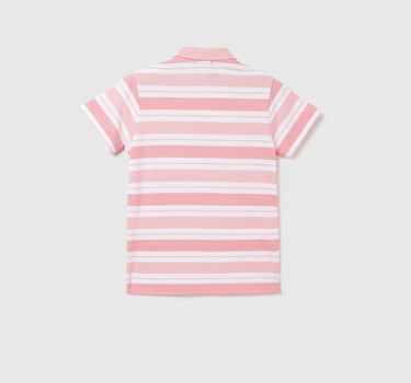 Regular Fit Polo Neck Striped T-shirt