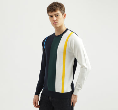 Men's Regular Fit Crew Neck Striped Sweater