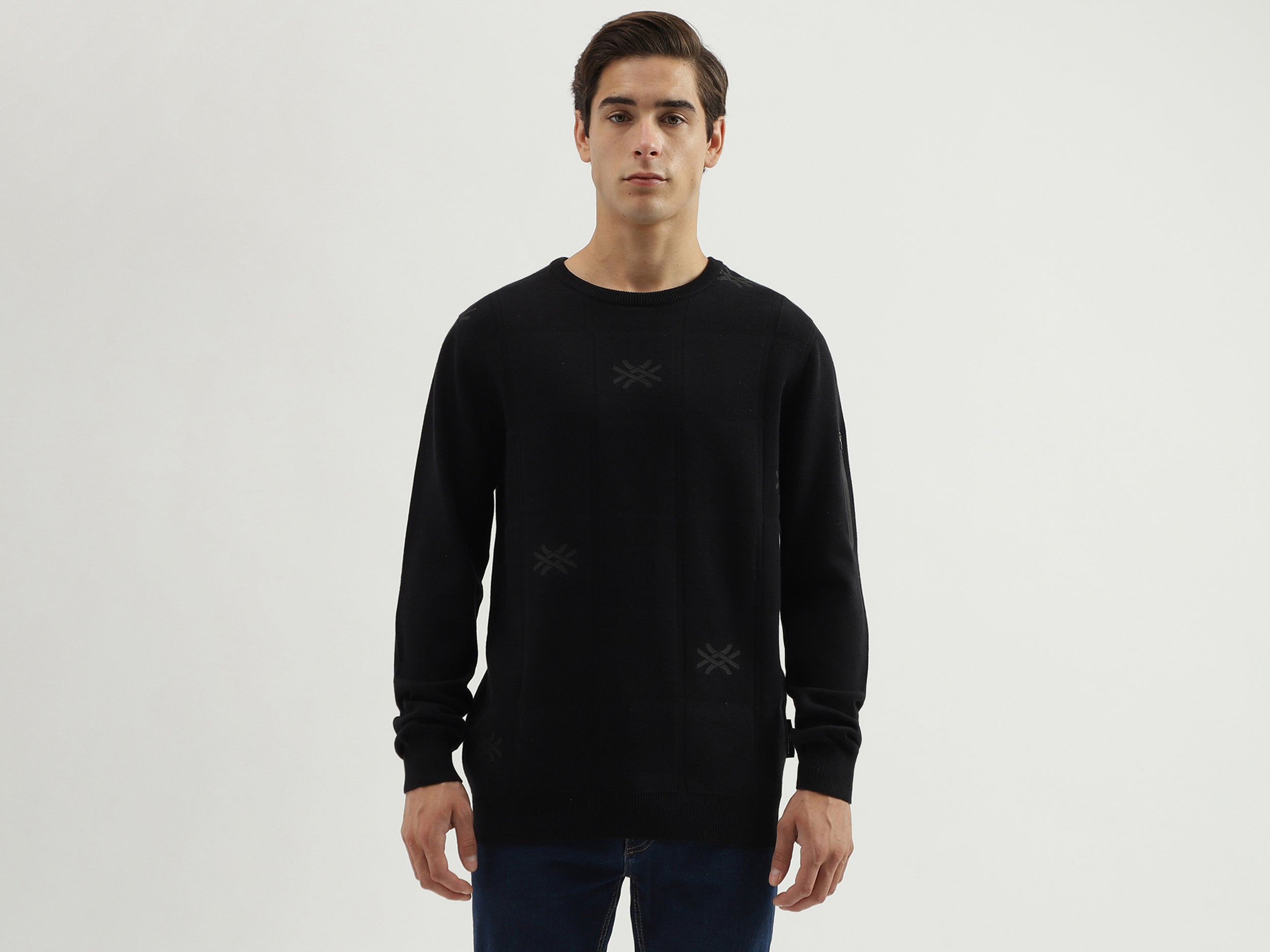 Men's Regular Fit Crew Neck Brand Logo Sweater