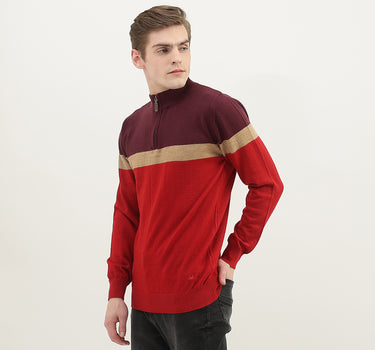 Men Colorblock High Neck Sweater