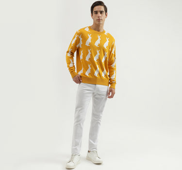 Men's Regular Fit Crew Neck Knitted Sweater