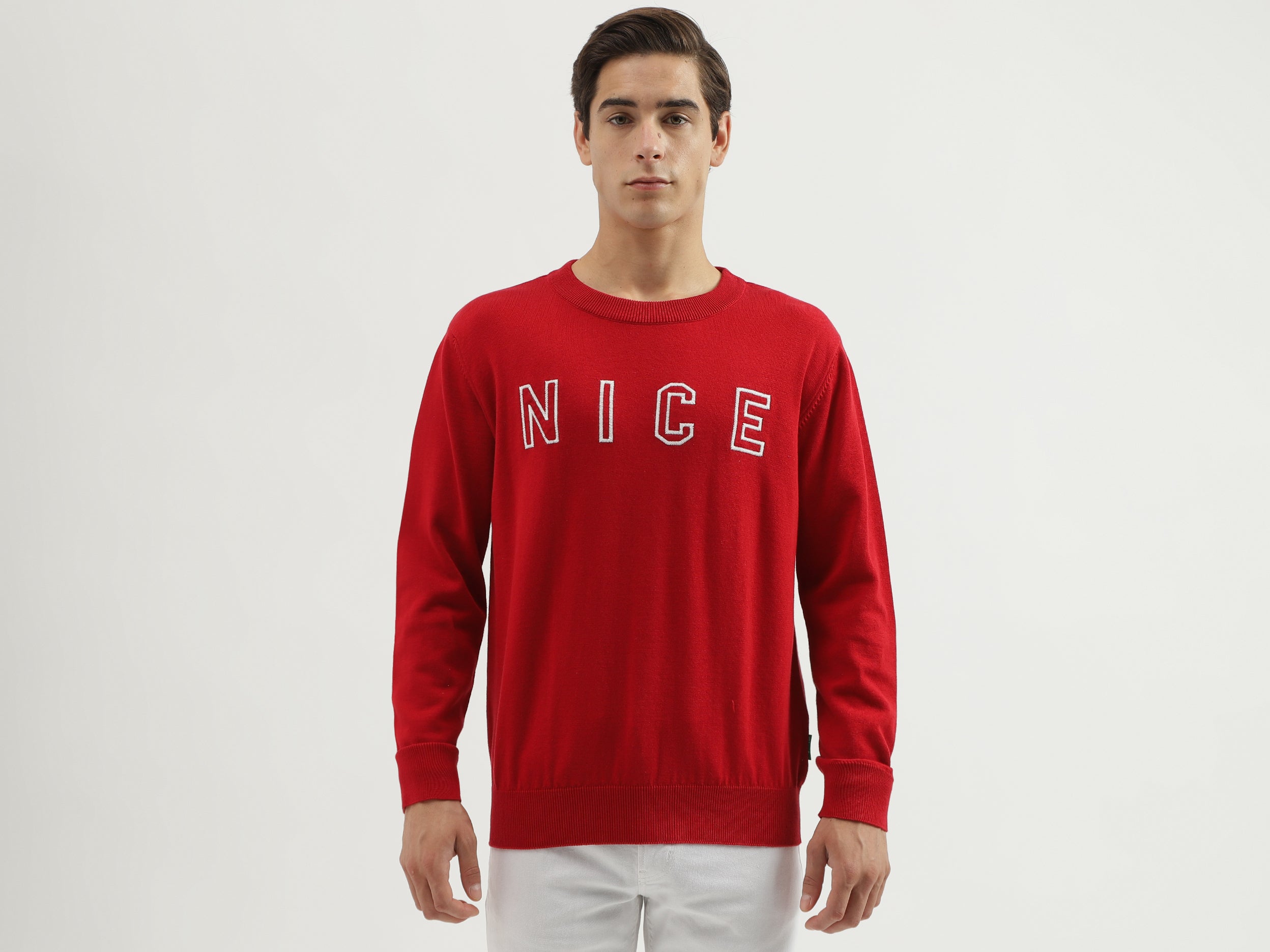 Men's Regular Fit Crew Neck Embroidered Sweater