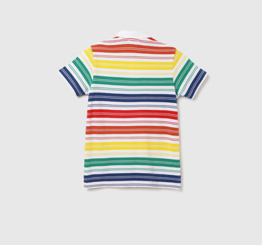 Regular Fit Polo Neck Striped T-shirt