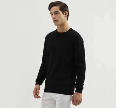 Men's Regular Fit Crew Neck Solid Sweater