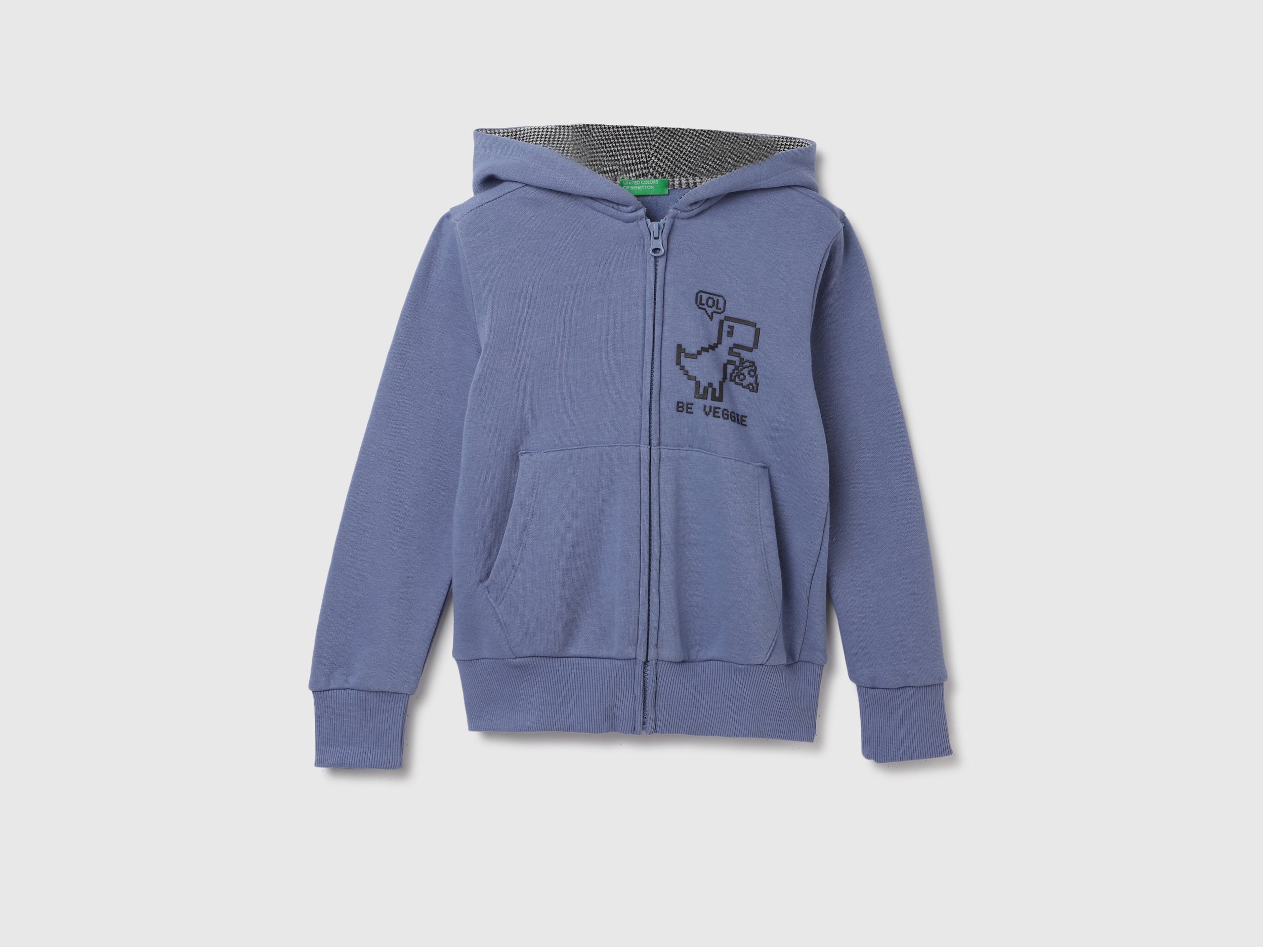 Regular Fit Hood Solid Sweatshirt