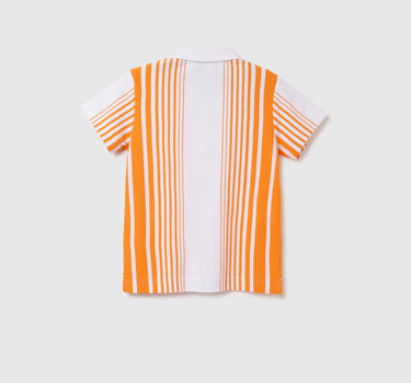 Regular Fit Polo Neck Striped T-shirt