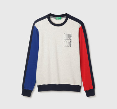 Regular Fit Round Neck Colourblocked Sweatshirt