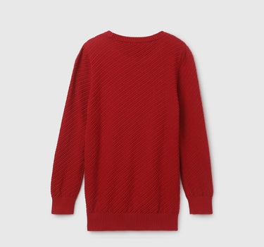 Boy's Regular Fit Round Neck Textured Sweater