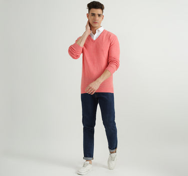 Mens V-Neck Solid Sweater