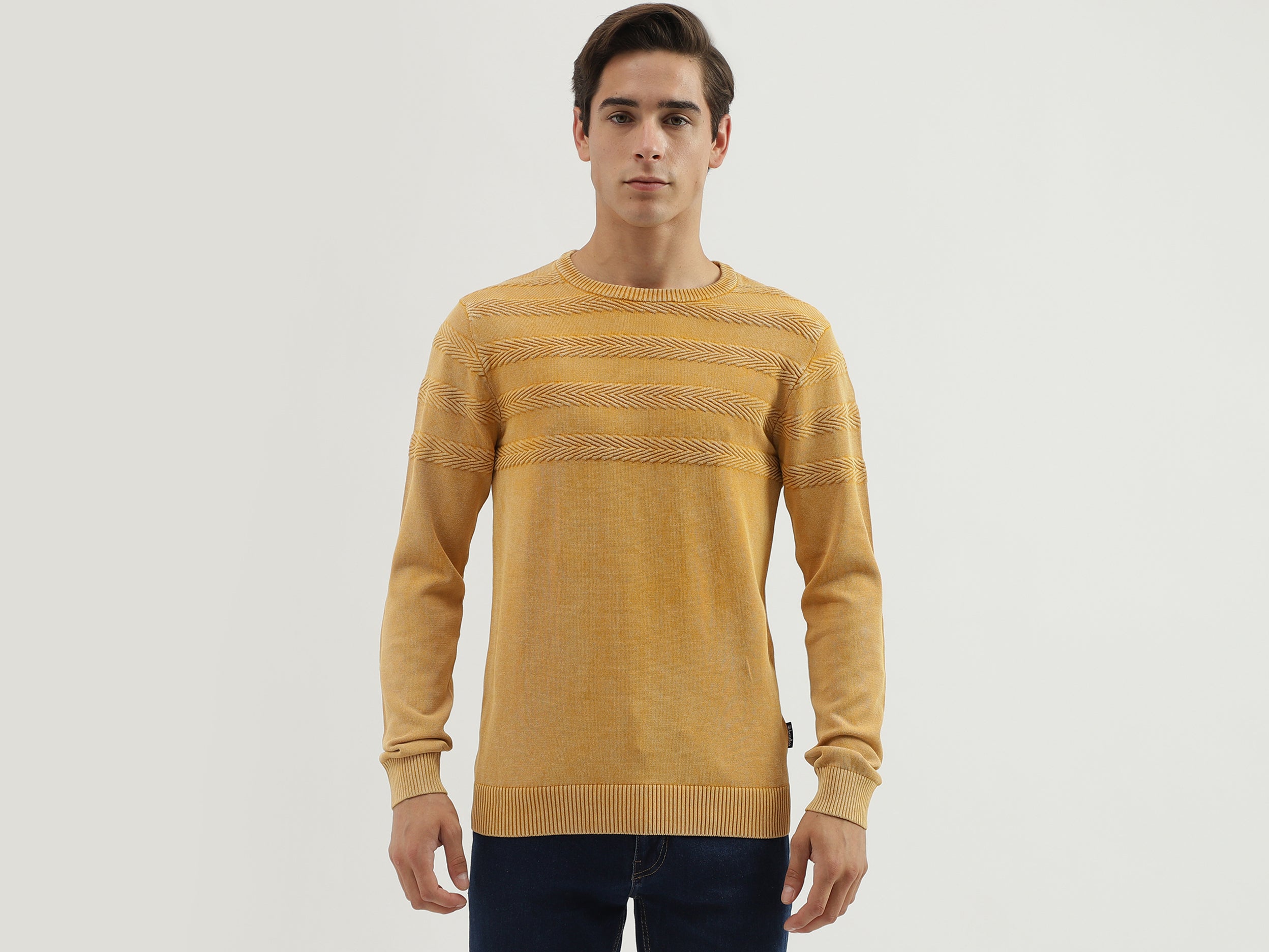 Men's Regular Fit Crew Neck Textured Sweater