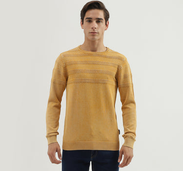 Men's Regular Fit Crew Neck Textured Sweater