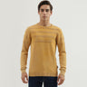 Men's Regular Fit Crew Neck Textured Sweater