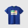 Boys Blue Printed Regular T Shirt