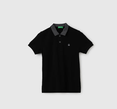 Regular Fit Polo Neck Solid T-Shirt