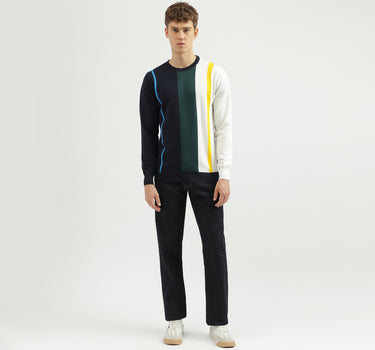 Men's Regular Fit Crew Neck Striped Sweater