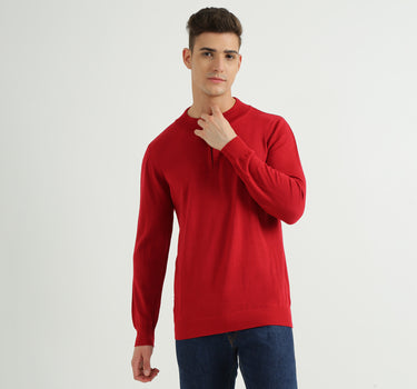 Men Solid High Neck Sweater