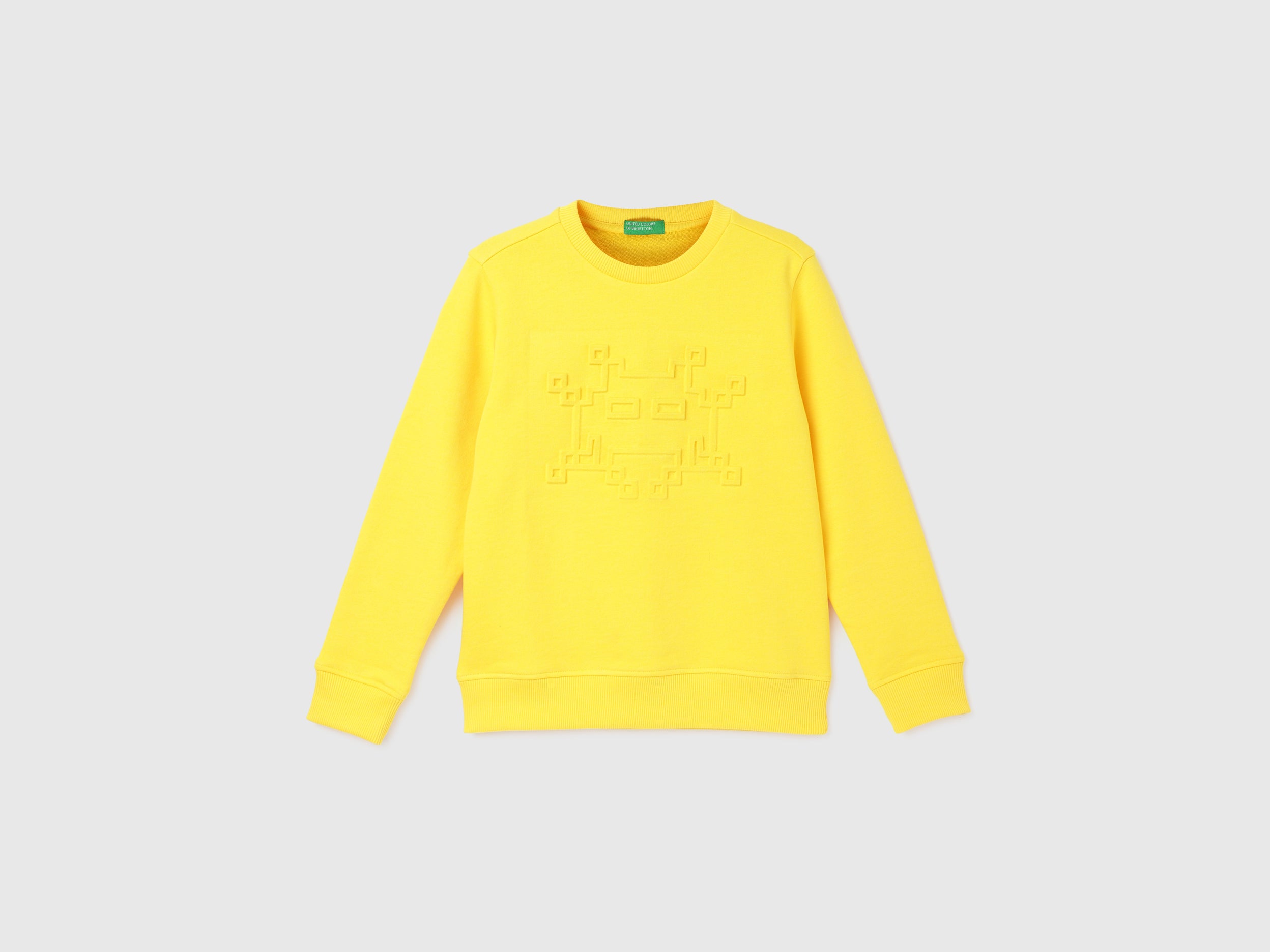 Regular Fit Crew Neck Printed Boy's Sweatshirt