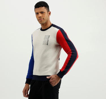 Regular Fit Round Neck Colourblocked Sweatshirt