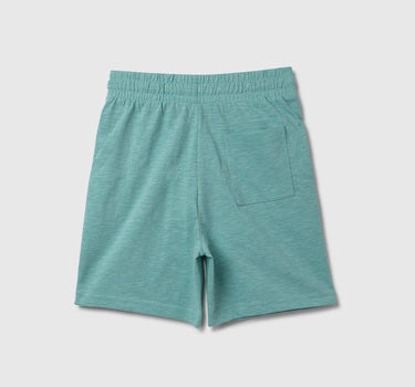 Monotone Regular Fit Shorts