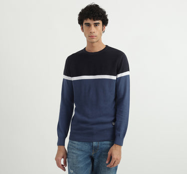 Men Colorblocked Round Neck Sweater