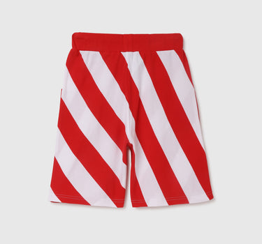 Striped Regular Fit Mid Waist Shorts