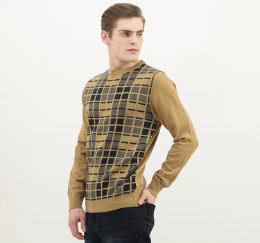 Men Checked Round Neck Sweater