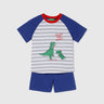 Regular Fit Round Neck Striped & Printed T-Shirt with Solid Colour Shorts Set