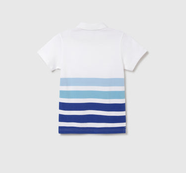 Regular Fit Polo Neck Striped T-shirt