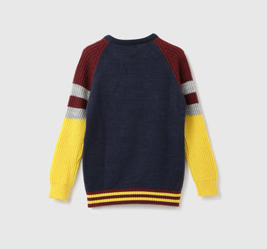 Boys Colorblock Round Neck Sweater