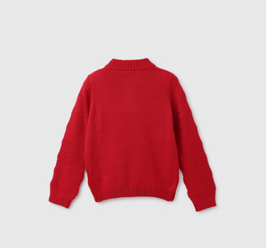 Boys Self Design High Neck Sweater