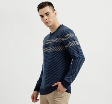 Men's Regular Fit Round Neck Tricot Sweater