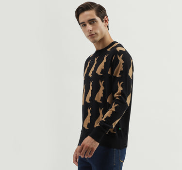 Men's Regular Fit Crew Neck Knitted Sweater