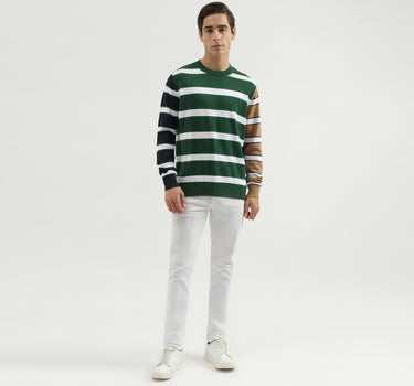 Men's Regular Fit Crew Neck Striped Sweater