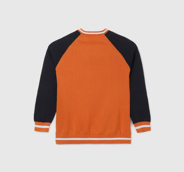 Boy's Regular Fit Crew Neck Colourblock Sweater