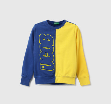 Boys Colorblock Round Neck Sweatshirt