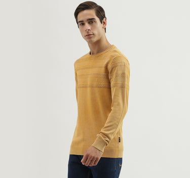 Men's Regular Fit Crew Neck Textured Sweater