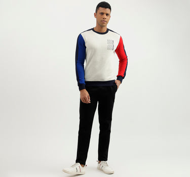 Regular Fit Round Neck Colourblocked Sweatshirt