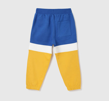 Regular Fit Colorblock Boy's Joggers