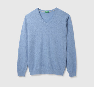 Men's Regular Fit V-Neck Solid Sweater