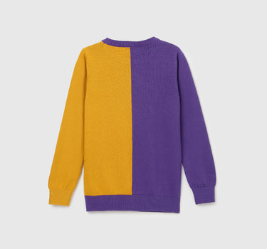 Boy's Regular Fit Crew Neck Colorblock Sweater