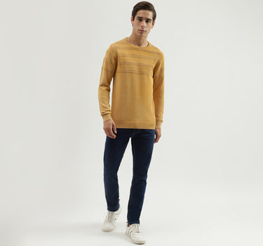 Men's Regular Fit Crew Neck Textured Sweater