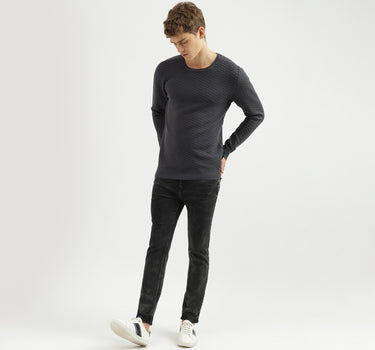 Men's Regular Fit Crew Neck Textured Sweater