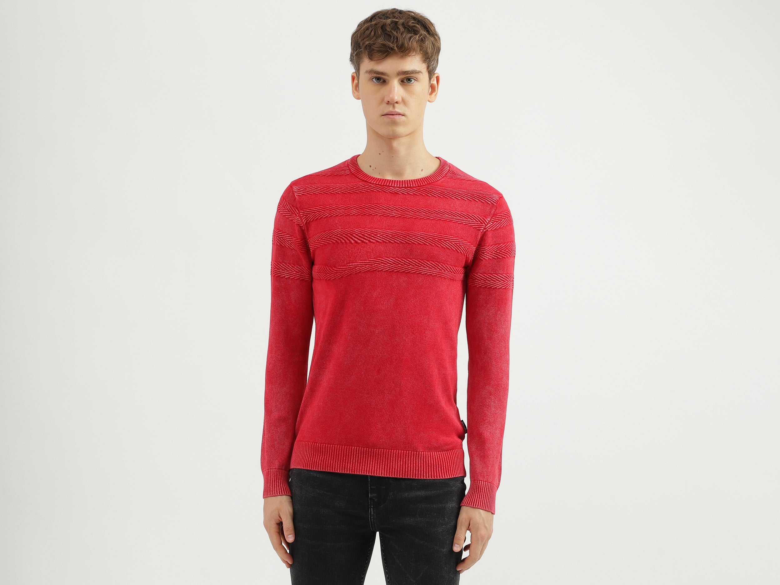 Men's Regular Fit Crew Neck Textured Sweater