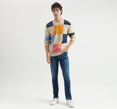 Regular Fit Round Neck Checked Pattern Sweater